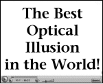 The best optical illusion in the world!